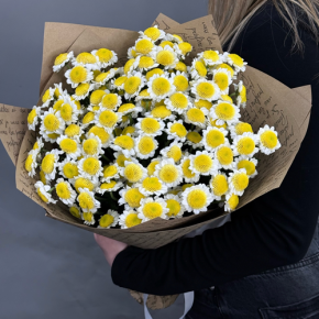 Букет "Моё солнышко" из 11 хризантем сантини  в Дубне