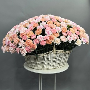 Композиция в корзине из 251 диантуса микс в Дубне