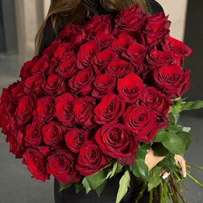 Букет 51 роза Эквадор Эксплорер (60 см) в Дубне