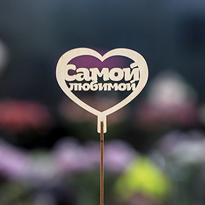 Топпер Самой Любимой в Дубне