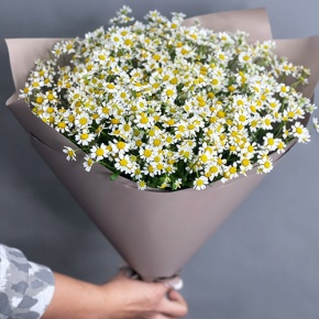 Букет из 17 ромашек танацетум в Дубне