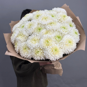 Букет из 27 хризантем Магнум в Дубне