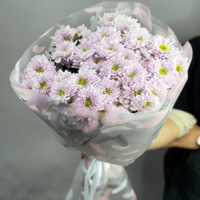 Букет "Нежный комплимент" из 9 кустовых хризантем в Дубне