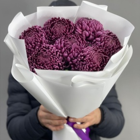 Букет "Винная легенда" из 7 хризантем Бигоуди в Дубне