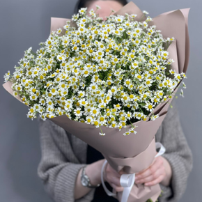 Букет из 17 полевых ромашек в Дубне