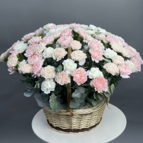 Композиция в корзине из 101 диантуса микс в Дубне