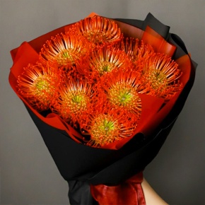 Букет из 9 лейко в Дубне