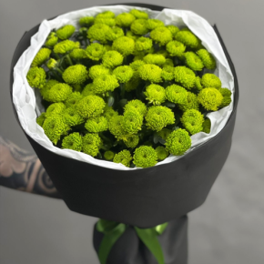 Стильный букет "Лайм" из 15 хризантем сантини в Дубне