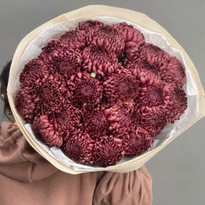 Букет 21 шоколадной хризантемы Бигоуди в Дубне