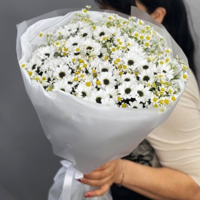 Букет "Понарошку" из хризантем сантини и ромашек в Дубне