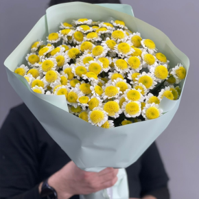 Букет "Моё солнышко" из 17 хризантем сантини  в Дубне