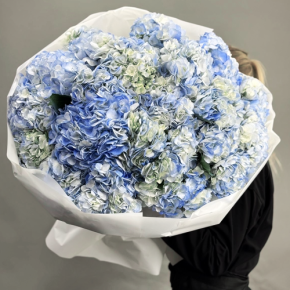 Букет из 23 синих гортензий в Дубне