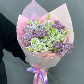Букет из 11 веток сирени микс в Дубне