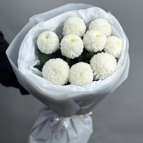 Букет из 9 белых хризантем Момоко в Дубне