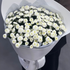 Букет "Белая дымка" из 25 хризантем сантини в Дубне