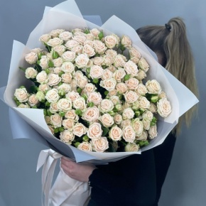 Букет из 25 кремовых кустовых роз (70 см) в Дубне