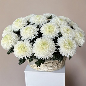 Композиция в корзине из 25 хризантем Магнум в Дубне