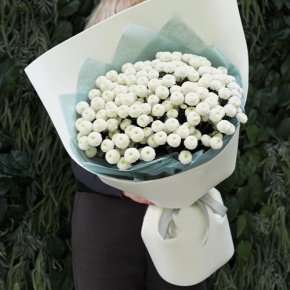 Букет из 25 хризантем Ньютон в Дубне