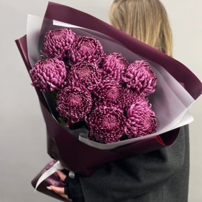 Букет "Изобилие" из 11 винных хризантем Бигоуди в Дубне