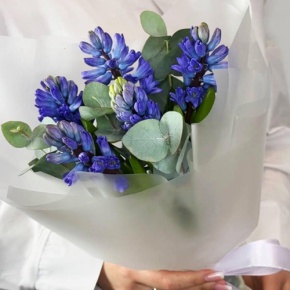 Букет "Мини" из 5 ароматных гиацинтов и эвкалипта в Дубне