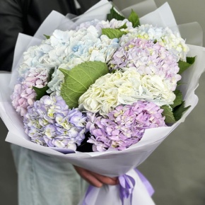 Букет из 9 Голландских гортензий микс в Дубне