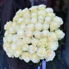 Букет из 51 розы Эквадор Мондиаль под ленту (80 см) в Дубне