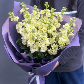 Букет из 15 лимонных маттиол в Дубне