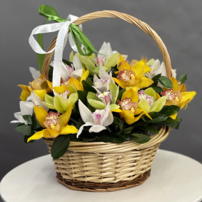 Композиция в корзине из 25 орхидей микс в Дубне