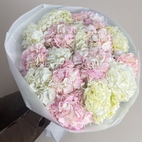 Букет из 17 нежных гортензий в Дубне
