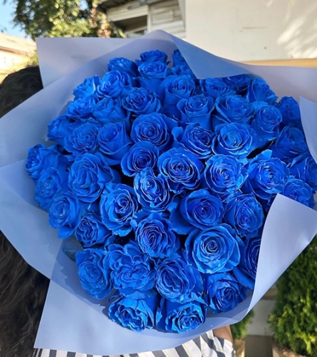 Букет из 51 синей розы Эквадор (60 см) в Дубне