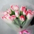 Букет "Фламинго" из 11 пионовидных тюльпанов в Дубне
