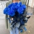 15 синих LUX роз Эквадор (70 см) в Дубне