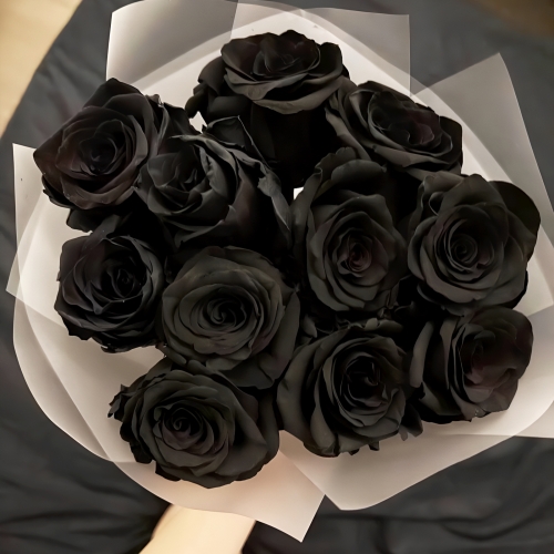 Букет "Черная королева" из 11 черных роз Эквадор (60 см) в Дубне
