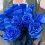 15 синих LUX роз Эквадор (70 см) в Дубне