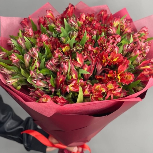 Монобукет из 25 красных альстромерий в Дубне