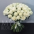 Букет 75 белых роз Эквадор Мондиаль (80 см) в Дубне