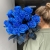 15 синих LUX роз Эквадор (70 см) в Дубне