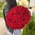 Букет 51 красной розы 50 см в Дубне