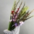 Букет из 25 гладиолусов микс в Дубне