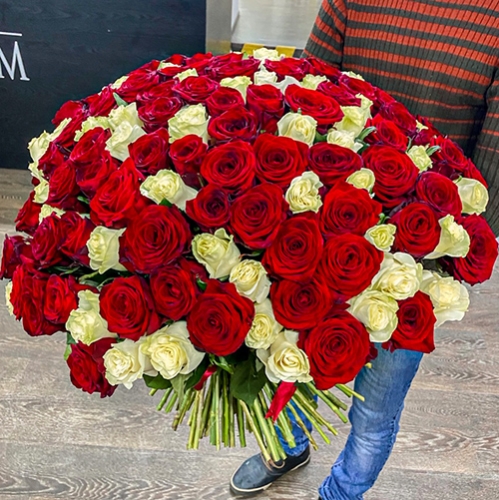 Букет 151 роза красный и белый микс (60 см) в Дубне