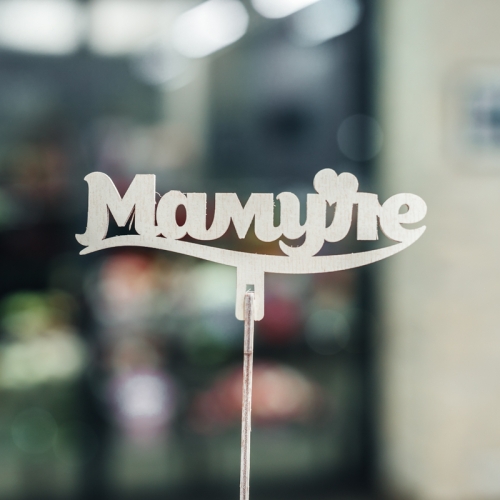 Топпер Мамуле в Дубне