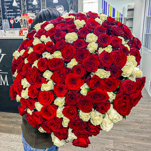 Букет 151 роза красный и белый микс (60 см) в Дубне