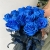 15 синих LUX роз Эквадор (70 см) в Дубне