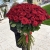 Букет из 101 красной розы (90 см) в Дубне