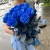 15 синих LUX роз Эквадор (70 см) в Дубне
