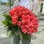Букет 51 роза коралл (60 см) в Дубне
