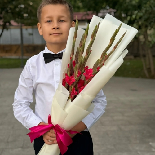 Букет на 1 сентября из 7 малиновых гладиолусов в Дубне