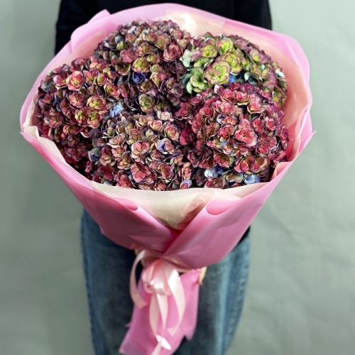 Букет из 5 космических Голландских гортензий в Дубне