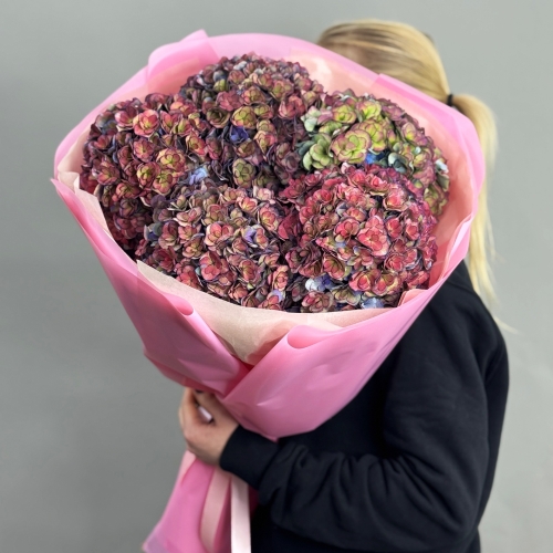 Букет из 5 космических Голландских гортензий в Дубне